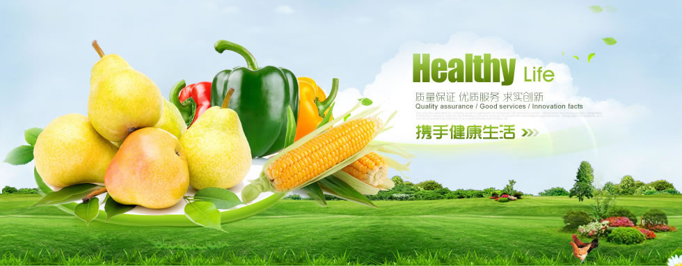 大連長興島經濟區廣福小學（越益麗）